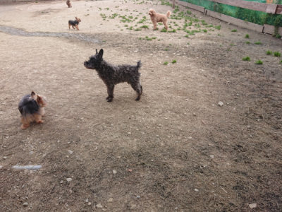 f:id:roukenhome-ann:20190414204510j:plain