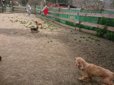 f:id:roukenhome-ann:20190414204537j:plain
