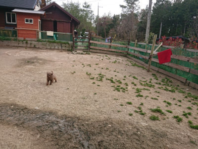 f:id:roukenhome-ann:20190414204557j:plain