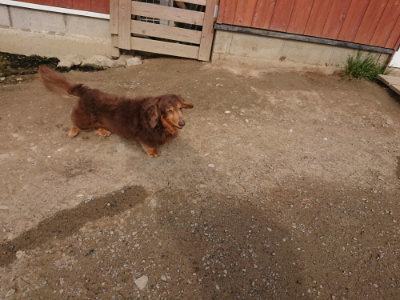 f:id:roukenhome-ann:20190414204919j:plain
