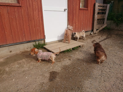 f:id:roukenhome-ann:20190414204934j:plain