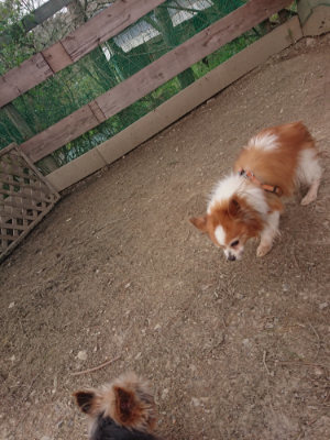 f:id:roukenhome-ann:20190414204950j:plain