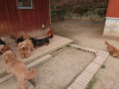 f:id:roukenhome-ann:20190414205236j:plain