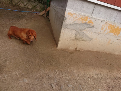 f:id:roukenhome-ann:20190414205300j:plain