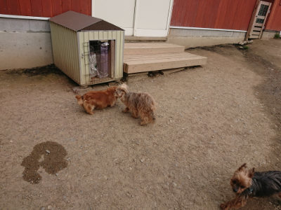 f:id:roukenhome-ann:20190414205305j:plain