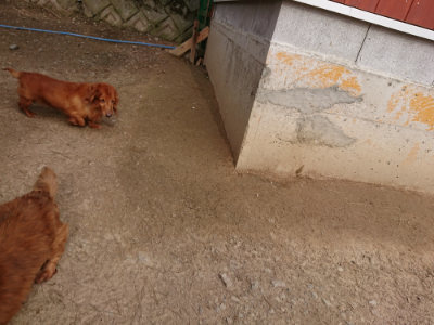 f:id:roukenhome-ann:20190414205318j:plain