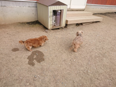 f:id:roukenhome-ann:20190414205325j:plain