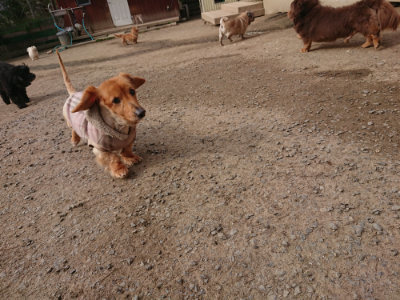 f:id:roukenhome-ann:20190414205333j:plain