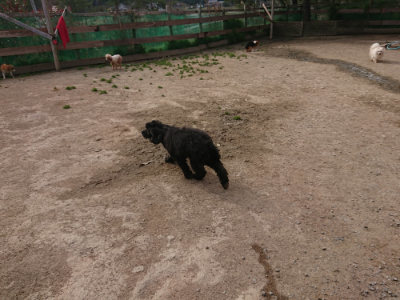 f:id:roukenhome-ann:20190414205405j:plain