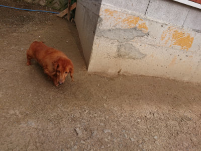 f:id:roukenhome-ann:20190414205427j:plain