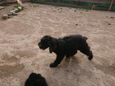 f:id:roukenhome-ann:20190414205444j:plain