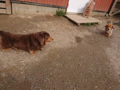 f:id:roukenhome-ann:20190414205601j:plain