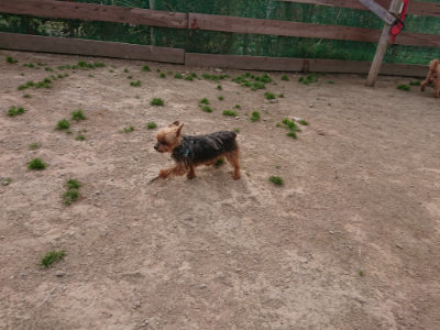 f:id:roukenhome-ann:20190414205945j:plain