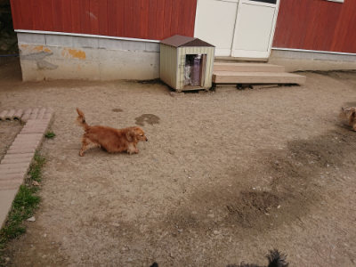 f:id:roukenhome-ann:20190414210008j:plain