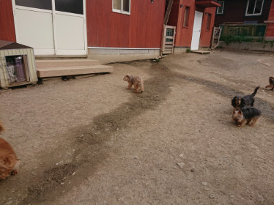 f:id:roukenhome-ann:20190414210015j:plain