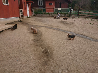 f:id:roukenhome-ann:20190414210136j:plain
