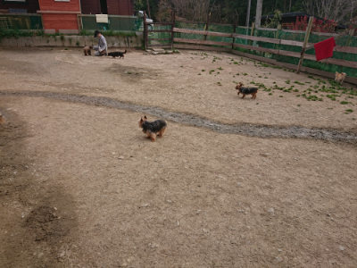 f:id:roukenhome-ann:20190414210204j:plain