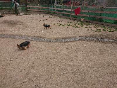 f:id:roukenhome-ann:20190414210213j:plain