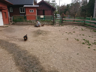 f:id:roukenhome-ann:20190414210242j:plain
