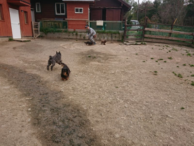 f:id:roukenhome-ann:20190414210258j:plain