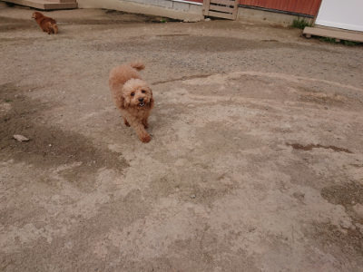 f:id:roukenhome-ann:20190414210305j:plain