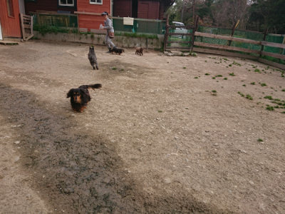 f:id:roukenhome-ann:20190414210320j:plain
