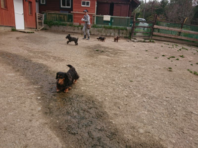 f:id:roukenhome-ann:20190414210329j:plain