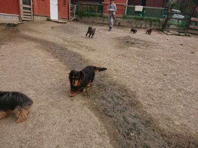 f:id:roukenhome-ann:20190414210336j:plain