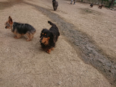 f:id:roukenhome-ann:20190414210358j:plain