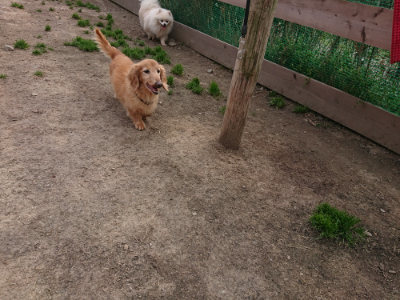 f:id:roukenhome-ann:20190414210412j:plain