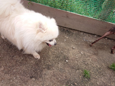 f:id:roukenhome-ann:20190414210421j:plain