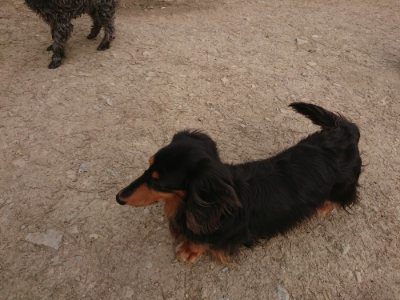f:id:roukenhome-ann:20190414210449j:plain
