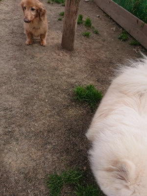 f:id:roukenhome-ann:20190414210548j:plain