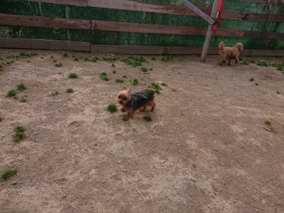 f:id:roukenhome-ann:20190414210638j:plain