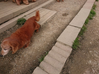 f:id:roukenhome-ann:20190414210645j:plain