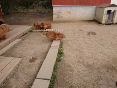 f:id:roukenhome-ann:20190414210655j:plain
