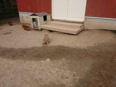 f:id:roukenhome-ann:20190414210733j:plain