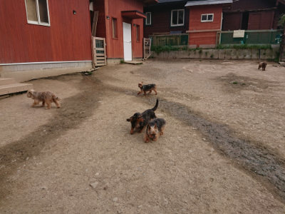 f:id:roukenhome-ann:20190414210818j:plain