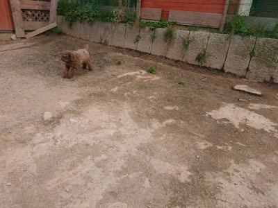 f:id:roukenhome-ann:20190414210950j:plain
