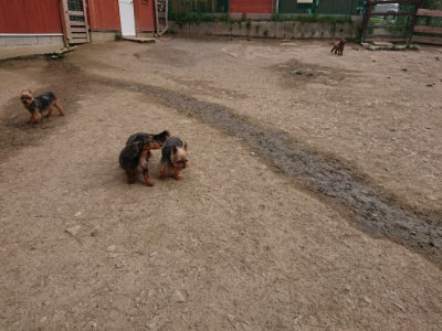 f:id:roukenhome-ann:20190414211000j:plain
