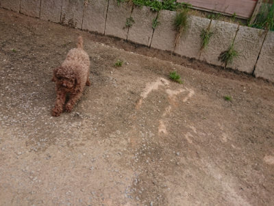 f:id:roukenhome-ann:20190414211026j:plain