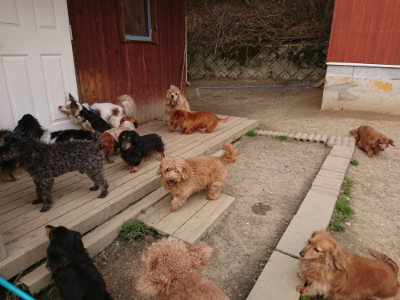 f:id:roukenhome-ann:20190414211134j:plain