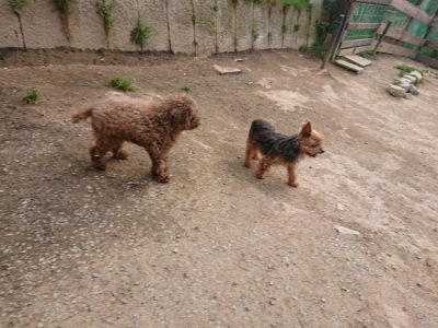 f:id:roukenhome-ann:20190414211223j:plain