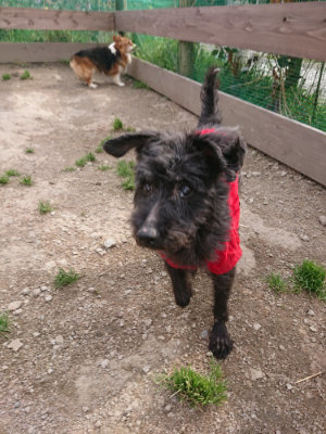 f:id:roukenhome-ann:20190414211258j:plain