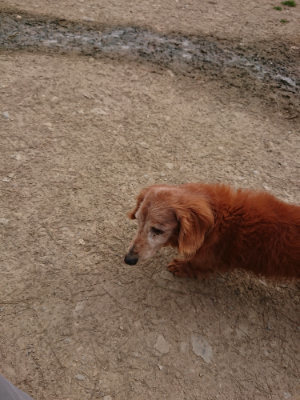 f:id:roukenhome-ann:20190414211324j:plain