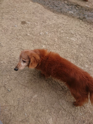 f:id:roukenhome-ann:20190414211331j:plain