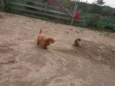 f:id:roukenhome-ann:20190414211343j:plain