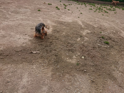 f:id:roukenhome-ann:20190414211357j:plain