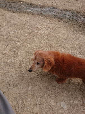 f:id:roukenhome-ann:20190414211409j:plain