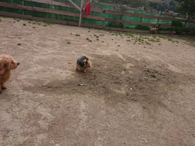 f:id:roukenhome-ann:20190414211457j:plain
